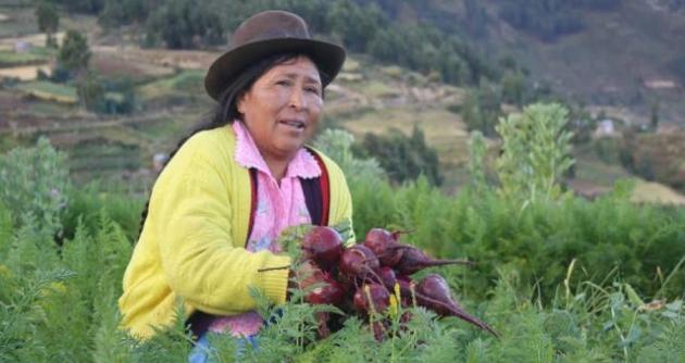 Resultado de imagen para mujeres peruanas