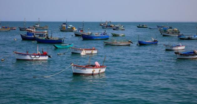 Foto: cortesía