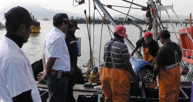 Incautación se produjo durante un operativo inopinado al muelle industrial Gildemeister.