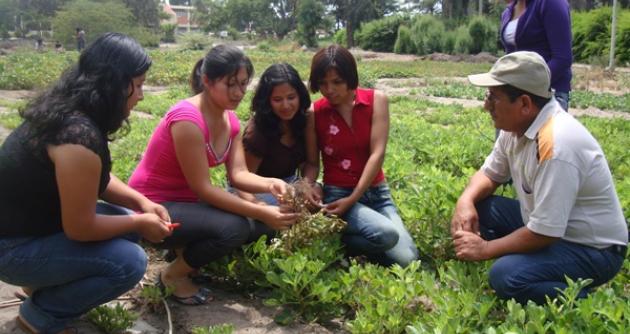 Foto: UNS