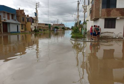 Foto: cortesía