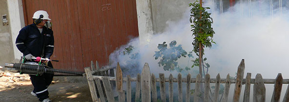 dengue-fumigacion-portada