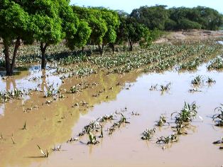 cultivos.valle-santa