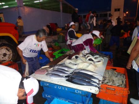 venta de pescado
