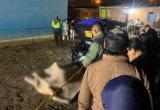 Foto: cortesía PNP