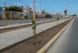 Foto: cortesía
