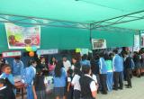 (Foto: Jefferson Valdez Centeno)