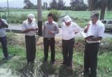 Foto: Municipalidad Distrital de Santa
