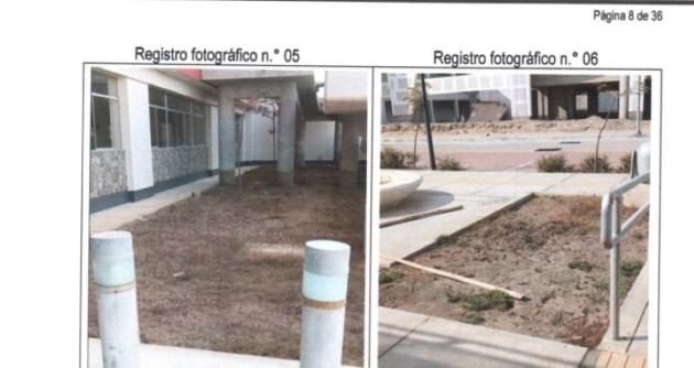 Foto: cortesía