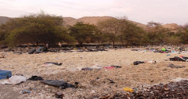 Zona estaba rodeada de pluma de pollo en estado de descomposición y basura.