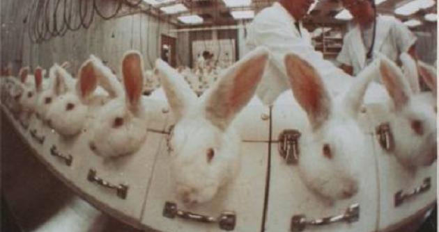 (Foto:Referencial- Internet)