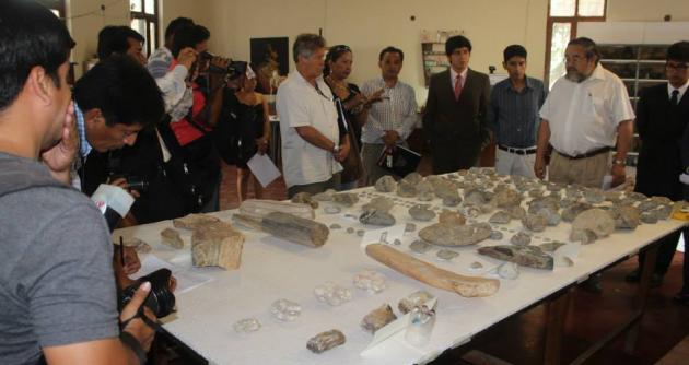 El director del Museo Tumbas Reales, Walter Alva, anunció que proyectan abrir un museo Paleontológico, dentro de este sitio, que sería el primero en el norte peruano. (Foto Facebook)