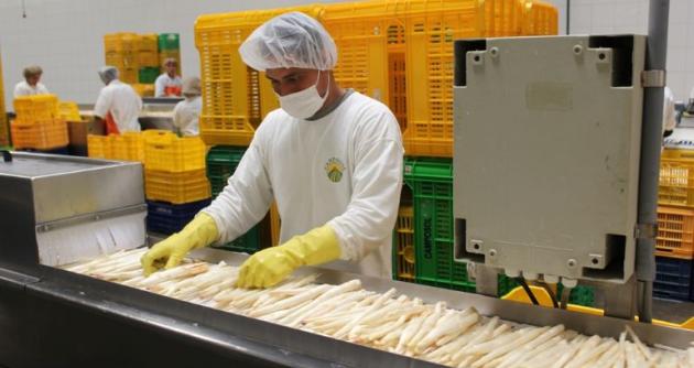 Foto: cortesía ADEX