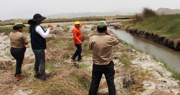 Lo que inescrupulosos pretenderían es secar laguna para que zona sea utilizada para otros fines.