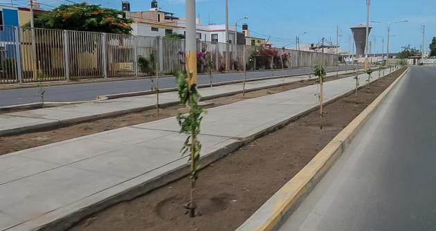 Foto: cortesía