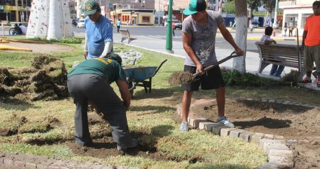 Personal de Parques y Jardines de la MPS inició hoy la limpieza y mantenimiento de la Plaza de Armas.