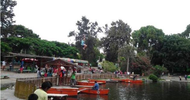 Foto: Facebook Vivero Forestal
