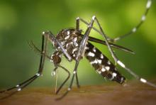 Foto: cortesía Andina