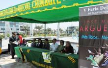 (Foto: Archivo Chimbotenlinea.com)