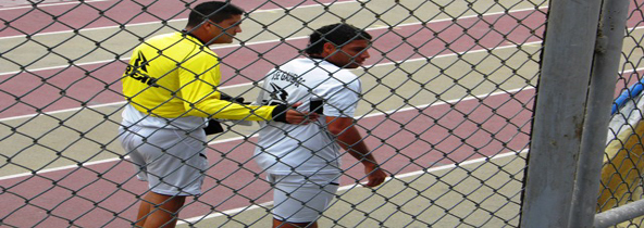 toro-arzuaga-no-se-va-portada